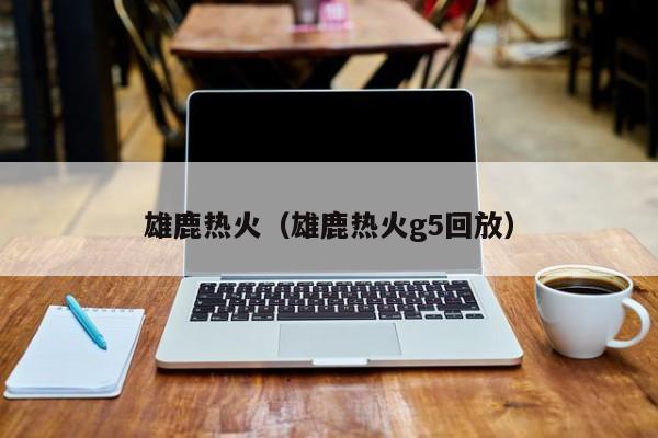 雄鹿热火（雄鹿热火g5回放）