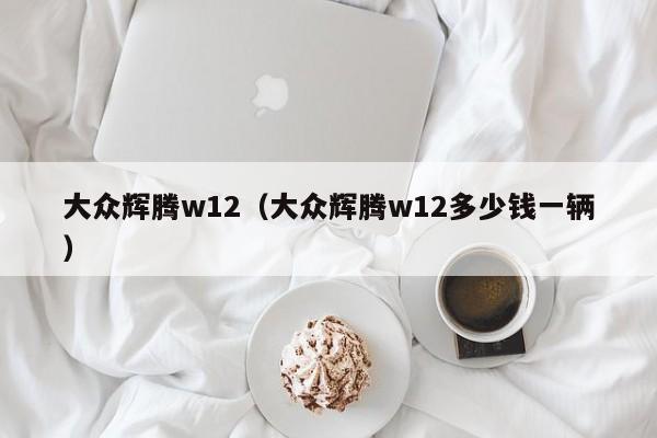 大众辉腾w12（大众辉腾w12多少钱一辆）