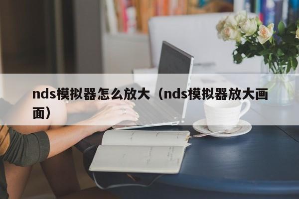 nds模拟器怎么放大（nds模拟器放大画面）