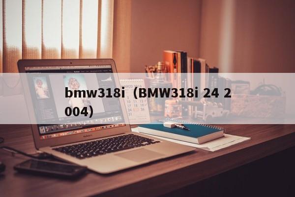 bmw318i（BMW318i 24 2004）