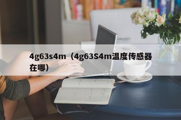 4g63s4m（4g63S4m温度传感器在哪）