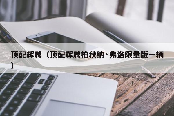 顶配辉腾（顶配辉腾柏秋纳·弗洛限量版一辆）