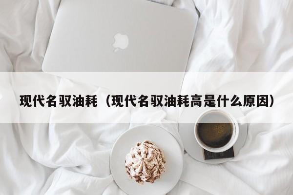 现代名驭油耗（现代名驭油耗高是什么原因）