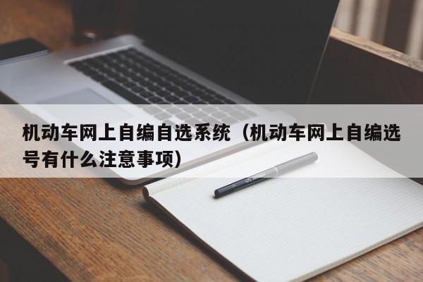 机动车网上自编自选系统（机动车网上自编选号有什么注意事项）