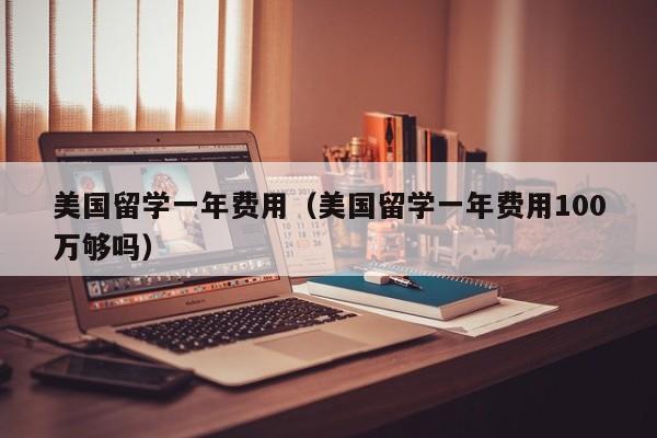 美国留学一年费用（美国留学一年费用100万够吗）