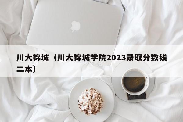 川大锦城（川大锦城学院2023录取分数线二本）