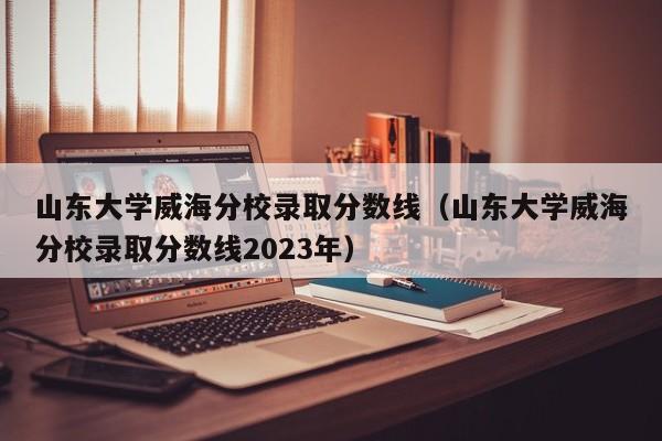 山东大学威海分校录取分数线（山东大学威海分校录取分数线2023年）