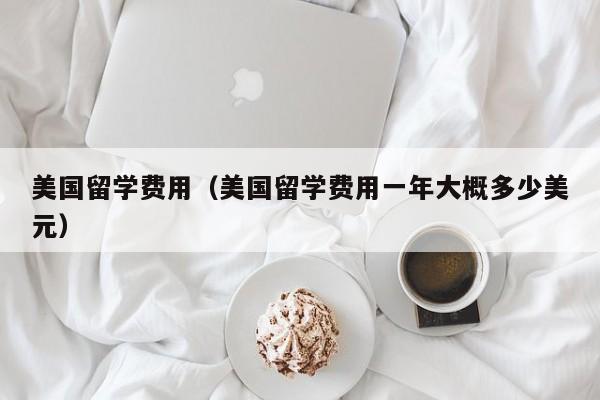 美国留学费用（美国留学费用一年大概多少美元）